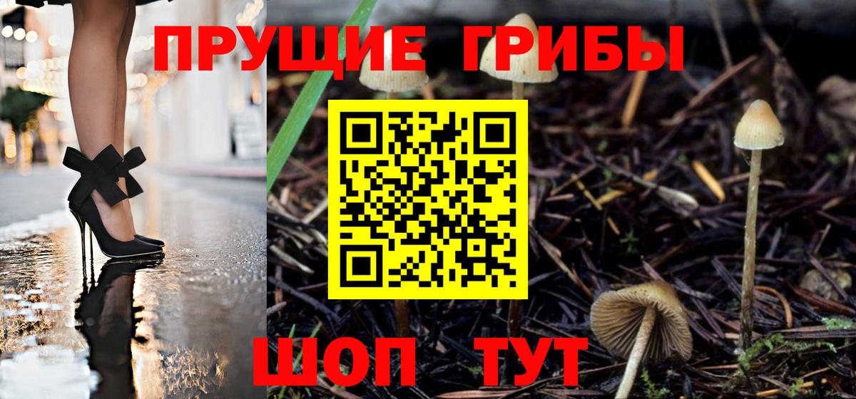 Галлюциногенные грибы Cubensis  Псилоцибиновые грибы Psilocybine cubensis  Вход с VPN  Каменка 